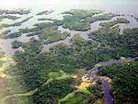 Бразилия. Река Амазонка. Многочисленные острова на реке Амазонке